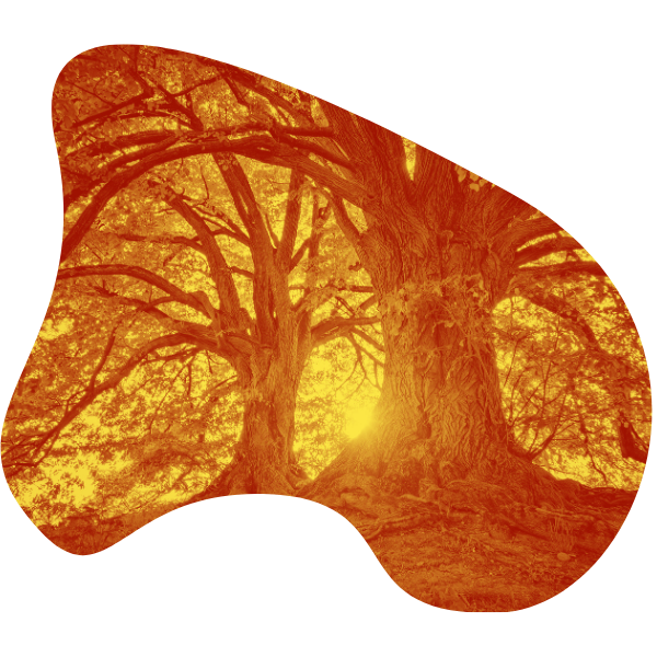 I2sicurezza sul lavoro - ambiente