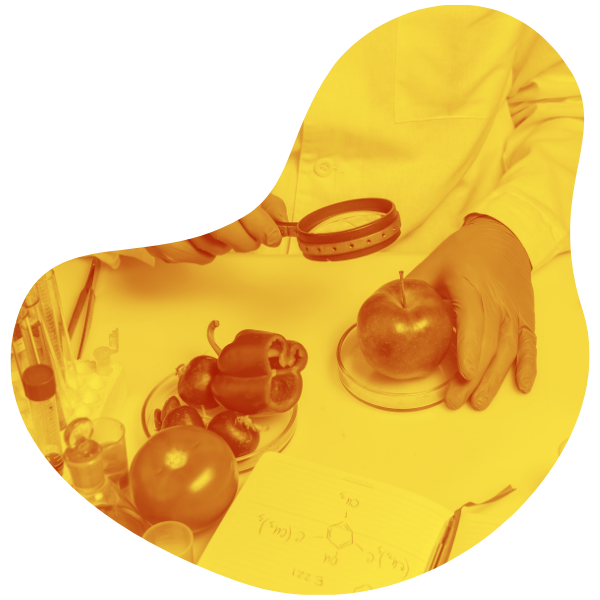 I2sicurezza sul lavoro - servizio sicurezza alimentare